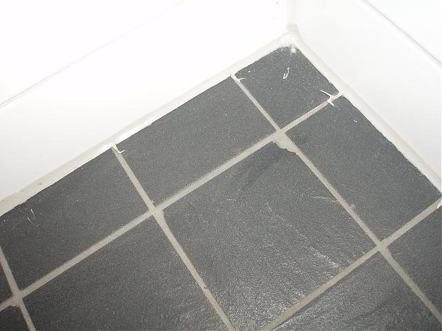 PC100020.jpg