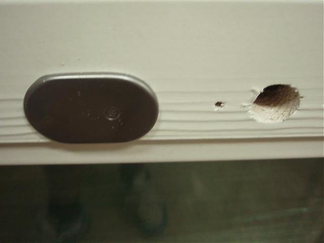 SP_PC050021.jpg