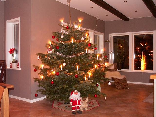 PICT0092.jpg