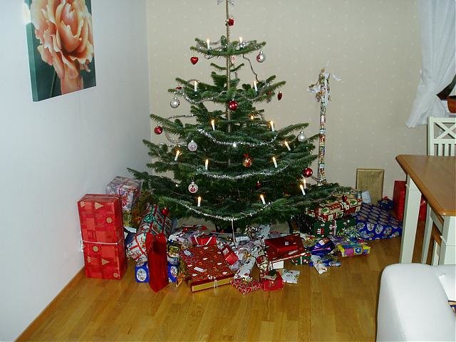 P1010016.jpg