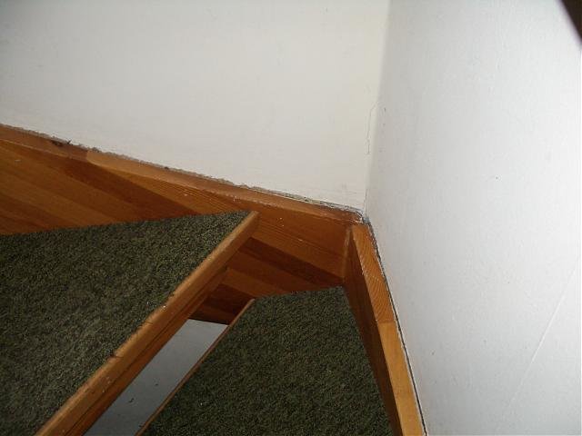 IMGP2878.jpg