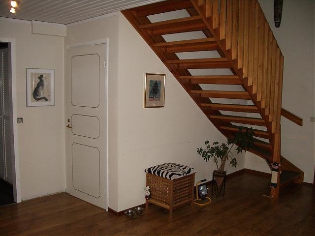 IMGP2846.jpg