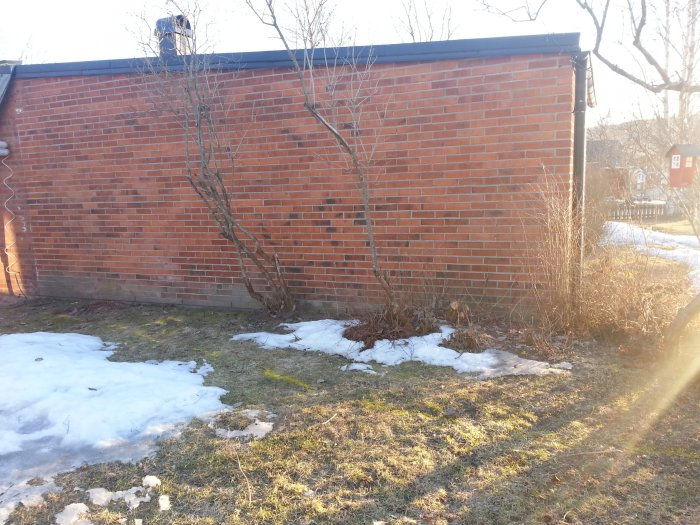 2015-03-25 17.17.24.jpg