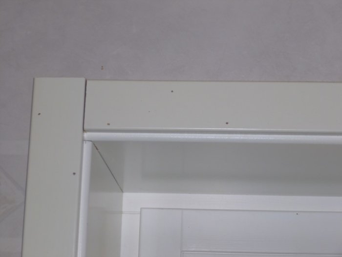 P1000568 (Medium).JPG