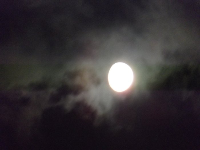 DSCF3283.jpg