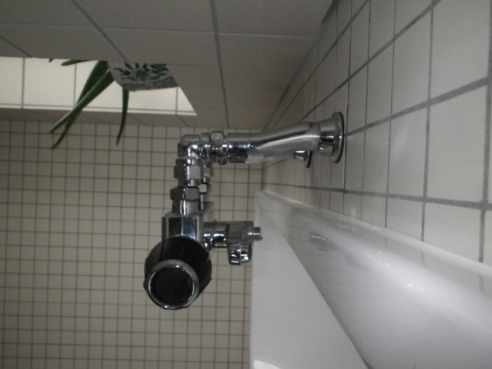 IMGP0019.jpg