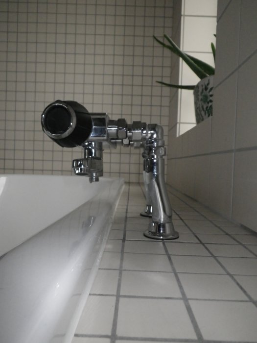 IMGP0019.jpg