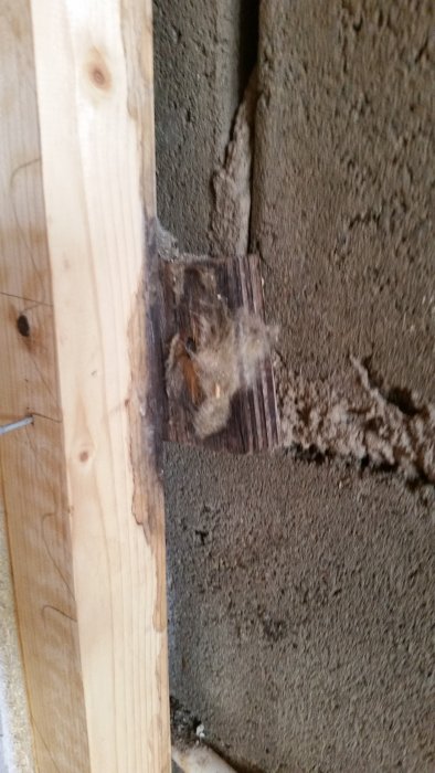 20150506_194557.jpg