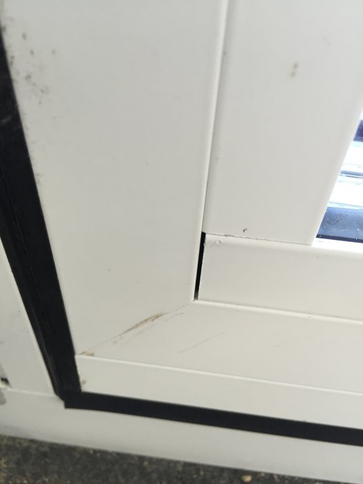 2015-05-29 17.35.24.jpg