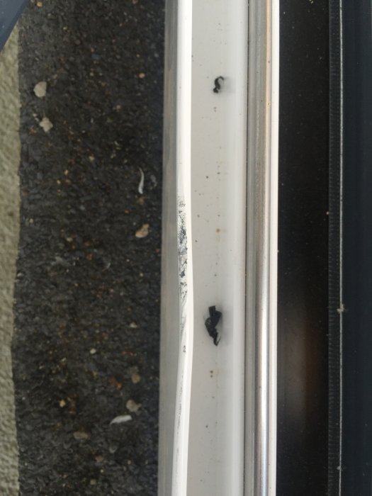 2015-05-31 16.05.05.jpg