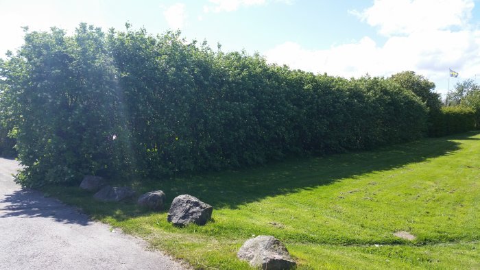 20150531_152816.jpg