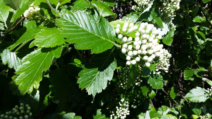 20150531_152957.jpg