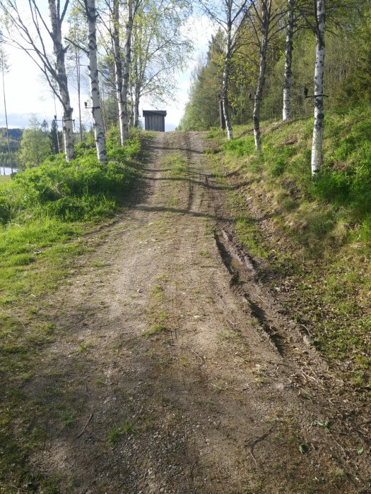 20150613_182406.jpg