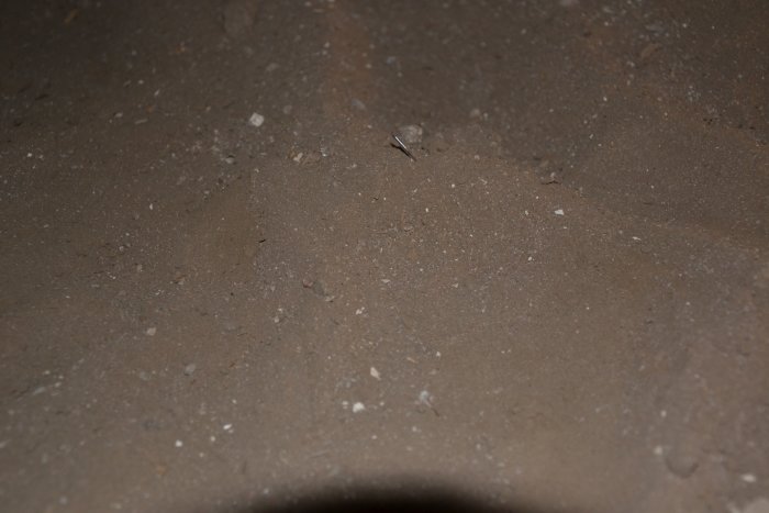 DSC_0006.jpg