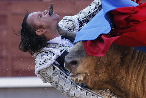 julio-aparicio-bull-gored-matador.jpg