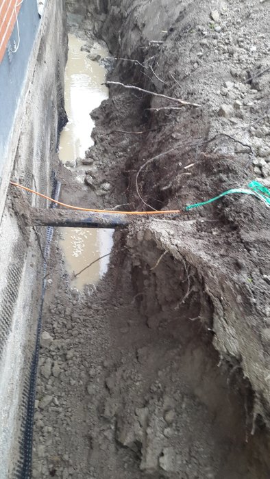 2015-07-08 07.30.54.jpg