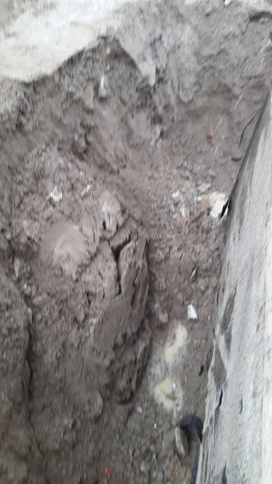 2015-07-08 07.30.58.jpg