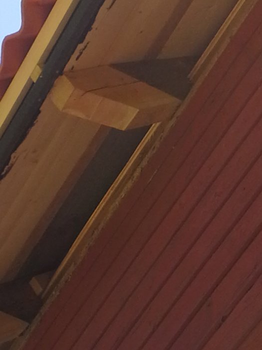 20150724_112426.jpg
