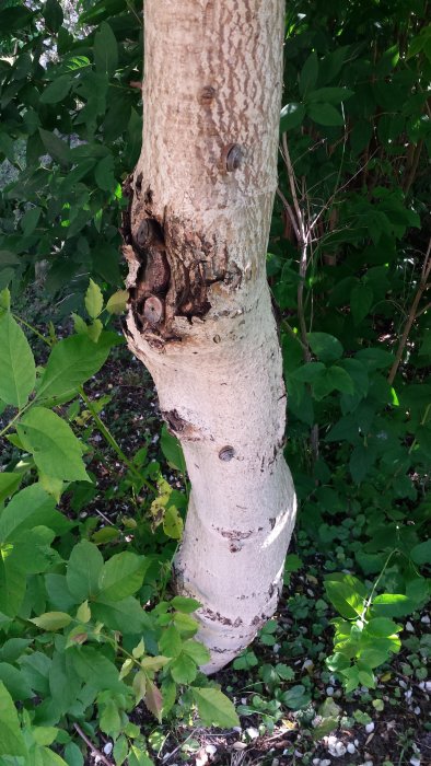 20150724_170244.jpg