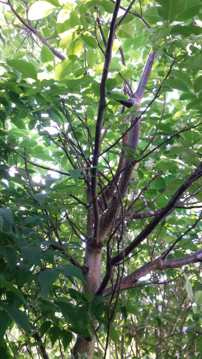20150724_170349.jpg