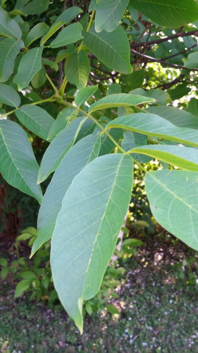 20150724_170327.jpg