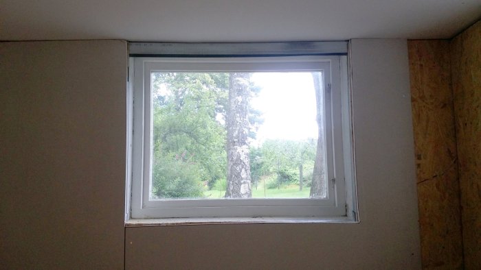 20150726_172704.jpg