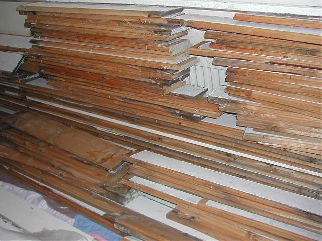 DSCN2523.jpg