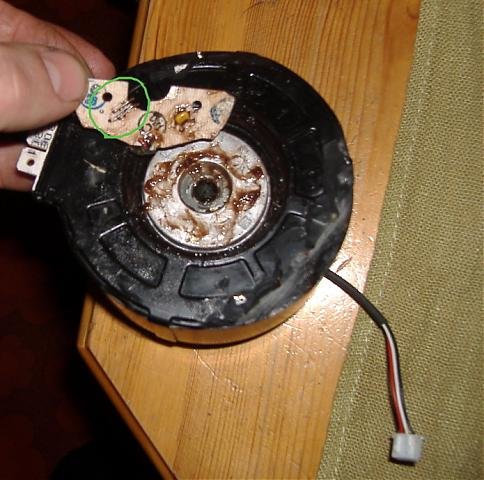 DSCF2174.jpg