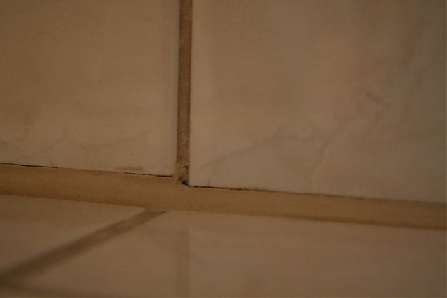 IMG_2262b.jpg
