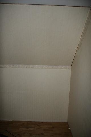 IMG_2264.jpg
