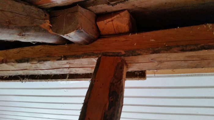 20150731_113107.jpg