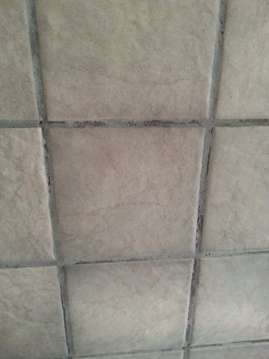 20150803_195643.jpg