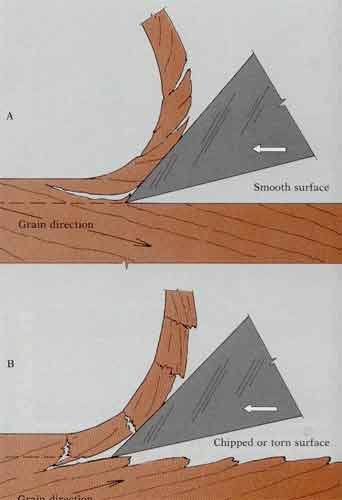 understanding_wood_08.jpg