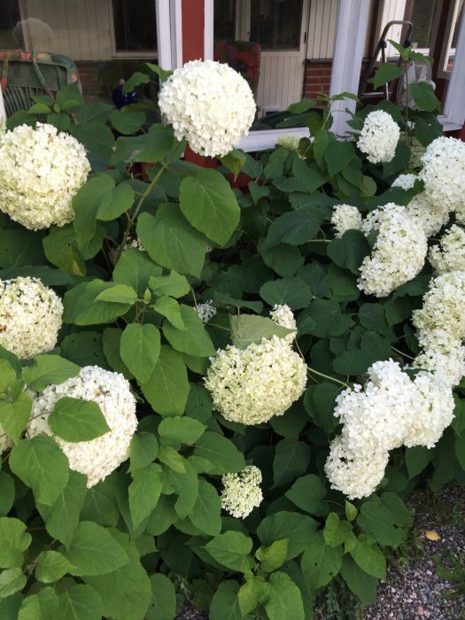 2015-09-10 18.39.23.jpg
