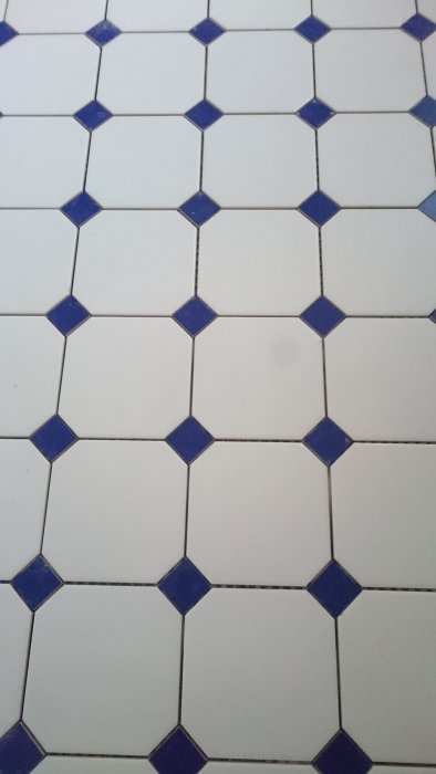 2015-09-04 19.41.18.jpg