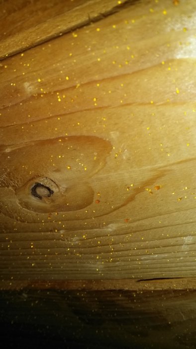 20150928_140406.jpg