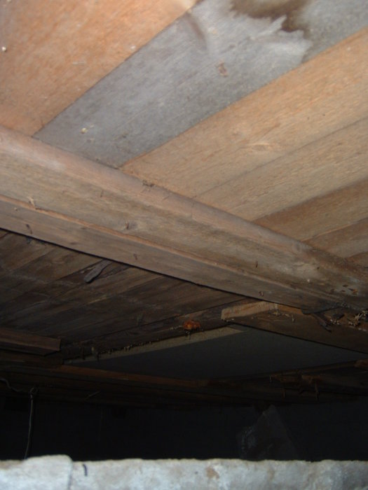 DSCF0280.JPG