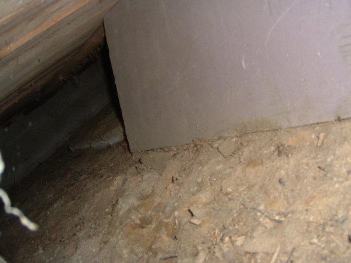 DSCF0266.JPG