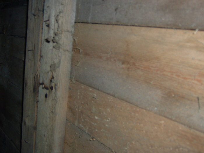DSCF0276.JPG