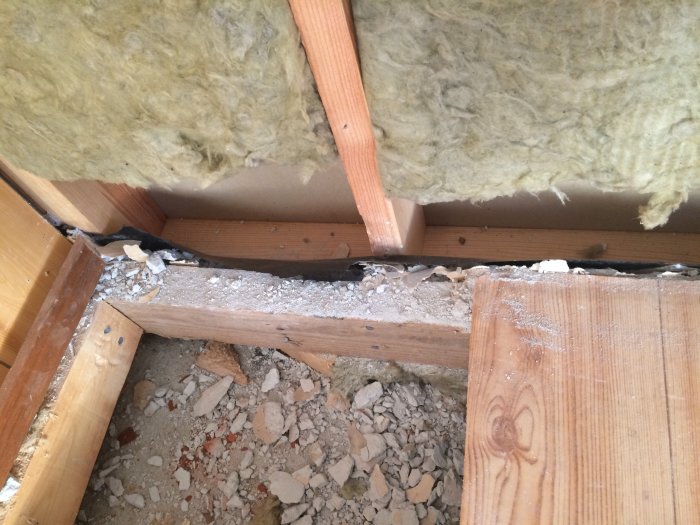 IMG_5104.jpg