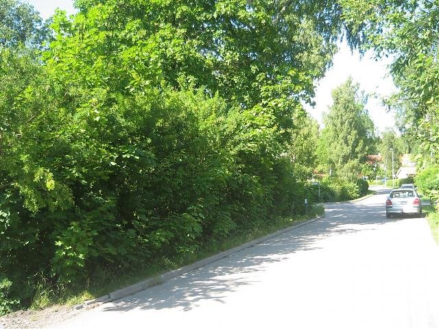 sommar.jpg