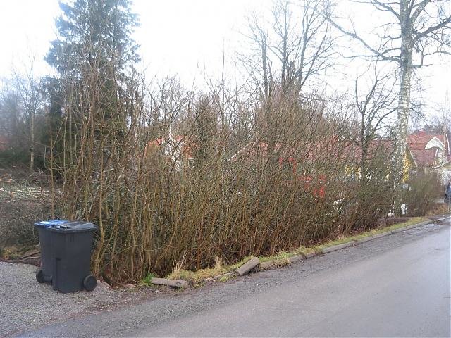 vinter.jpg