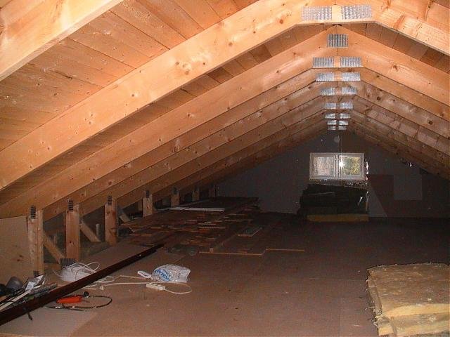 PIC_0081.jpg