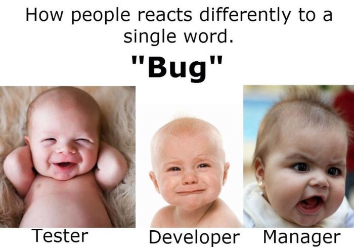 how_people_reacts_differently_to_a_single_word_bug.jpg