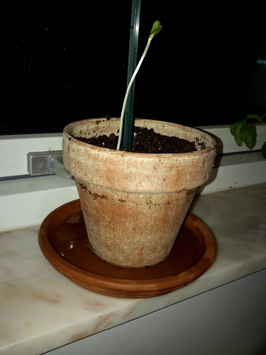 20160203_195022.jpg