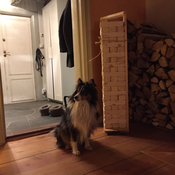 image.jpeg