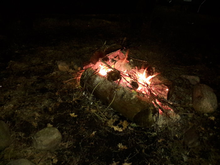 20160207_182022.jpg
