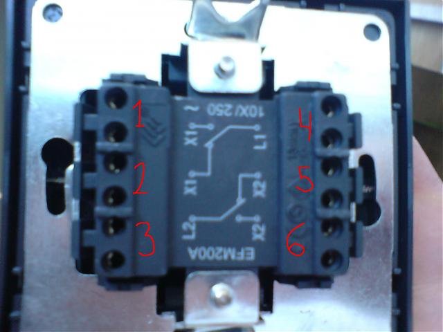 DSC00030b.jpg