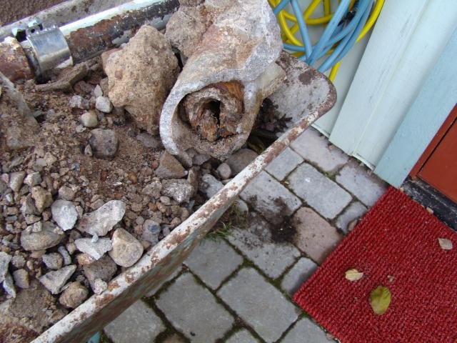 DSC00071.jpg