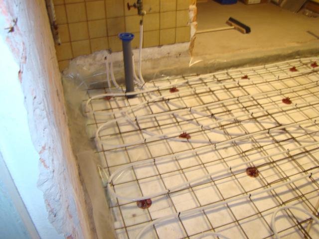 DSC00343.jpg